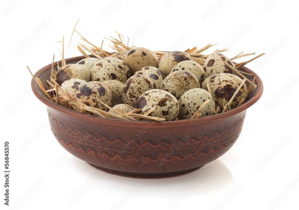 Obraz premium quail eggs on white