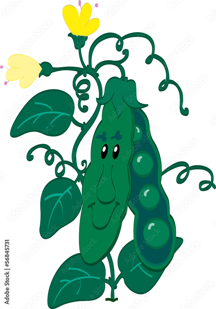 Fototapeta premium Green peas