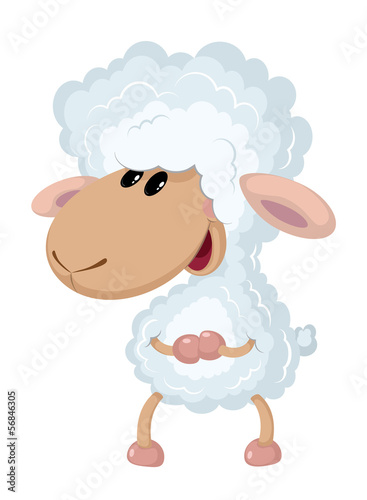 little lamb