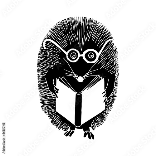 hedgehog reading