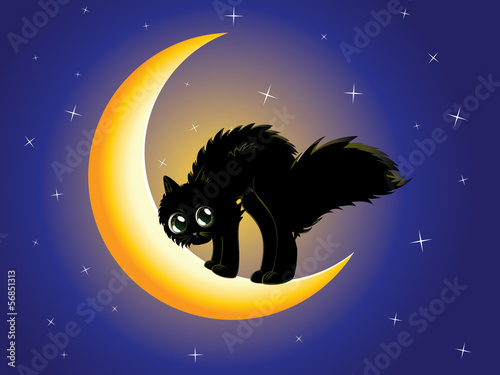 Black cat on moon