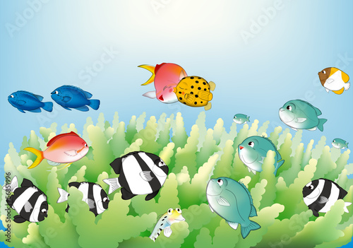 サンゴ礁の小さな魚