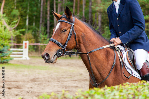Horses on a competition © George Dolgikh