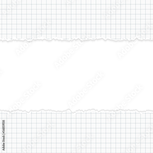 aufgerissenes Papier mit Textfreiraum