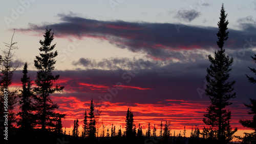 Red sunset behind forest and dark clouds near Fairbanks