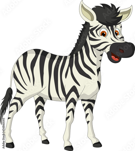 cute zebra cartoon posing