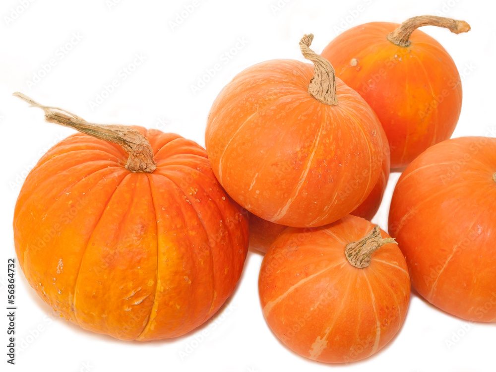 Obraz premium pumpkins over white