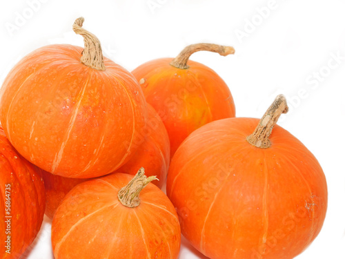 mini pumpkins over white