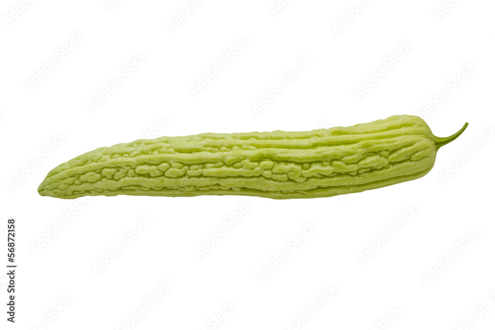 balsam apple isolated on the white background. balsam apple isolated on the white background.