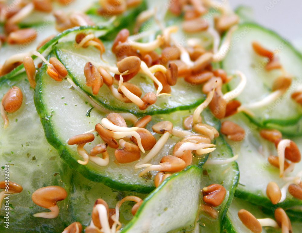Gurkensalat mit Sprossen Gurkensalat mit Sprossen