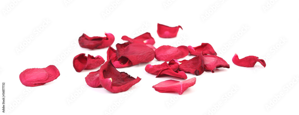 Beautiful red rose petals.