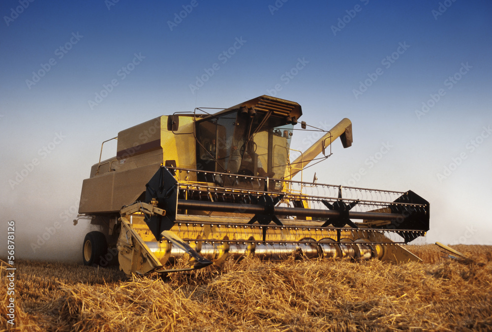 Fototapeta premium Combine harvester