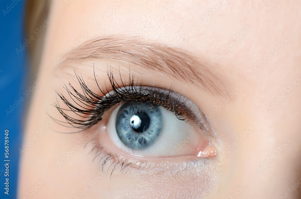 Fototapeta premium Female eye with long eyelashes close-up