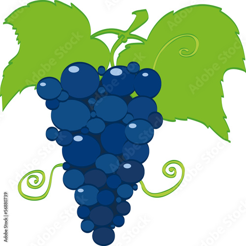 Grape