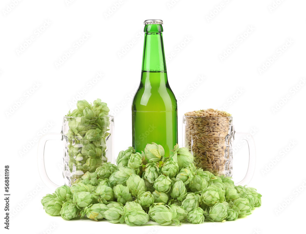 Beer botlle and green hop.
