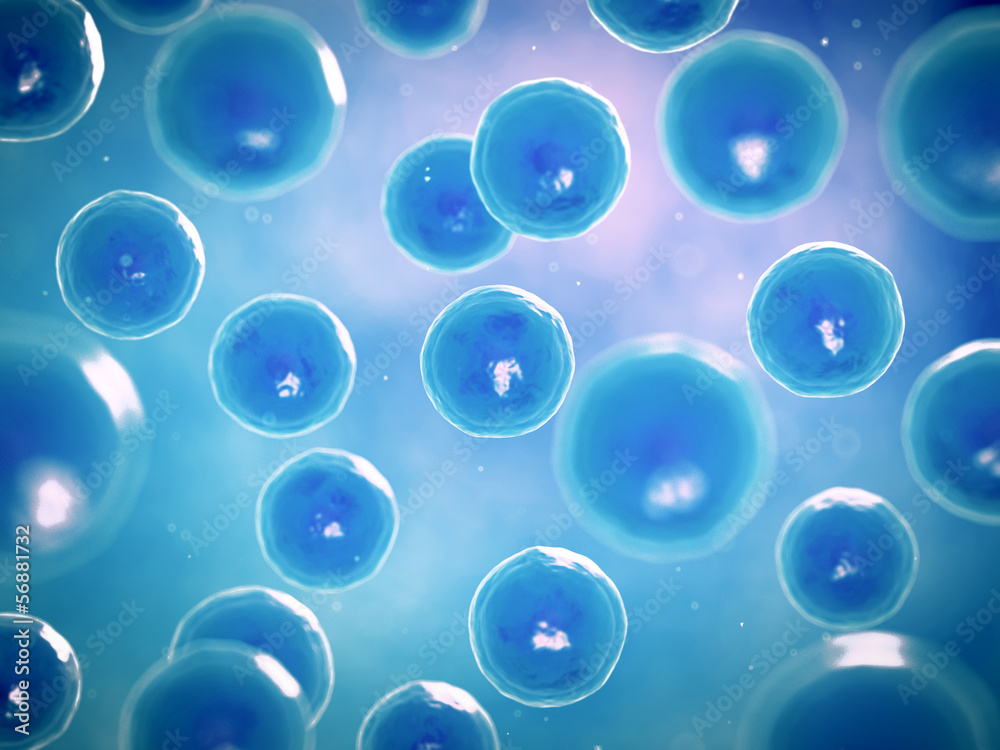 Photo & Art Print 3d rendered illustration of human cells