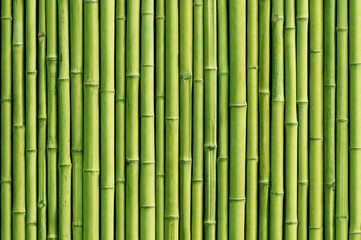 Sierkussen Badkamer Groene bamboe omheining achtergrond  © OHishi_Foto