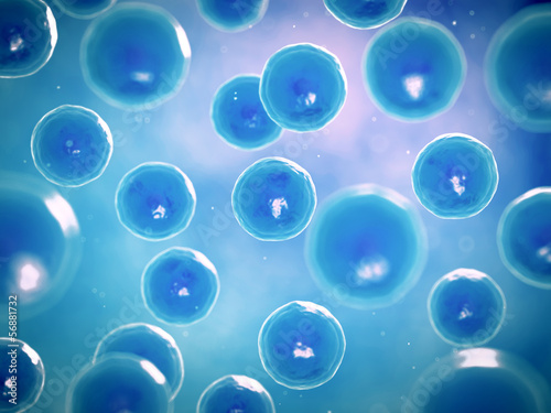 Obraz na płótnie 3d rendered illustration of human cells