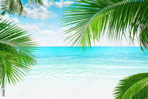 Fototapeta Naklejka Na Ścianę i Meble -  View of nice tropical  beach  with some palms around