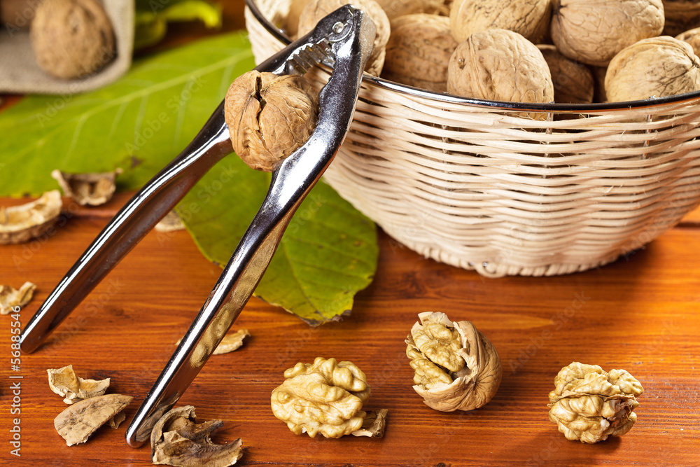 Fototapeta premium walnuts with nutcracker