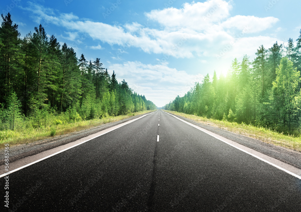 road in deep forest