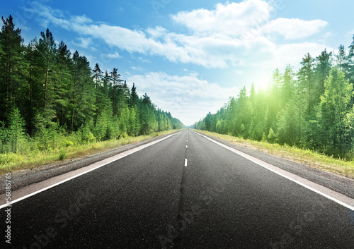 road in deep forest © Iakov Kalinin