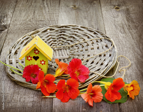 Summer still-life with flowers of nasturtium and decorative star photo