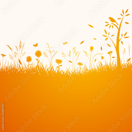 Herbst Gräser Hintergrund