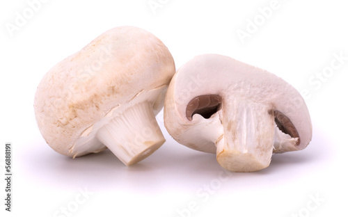 Champignon mushroom. Isolated on white background