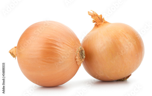 Wallpaper Mural Fresh bulbs of onion on a white background Torontodigital.ca