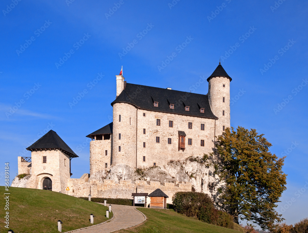 Bobolice Castle in Poland