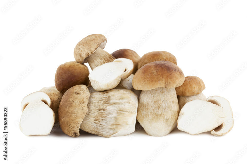 Steinpilze Steinpilze