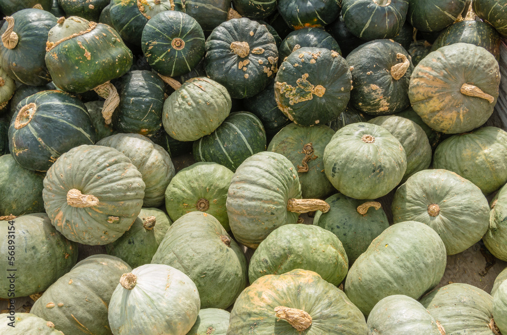 Blue winter squash at the market Blue winter squash at the market