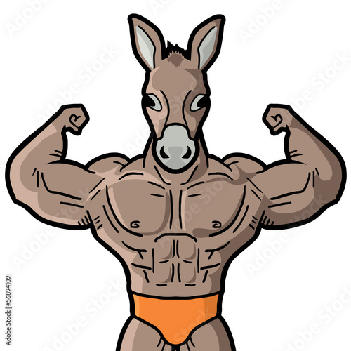 Muscle horse man