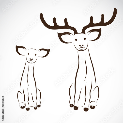 Vector image of an deer © yod67