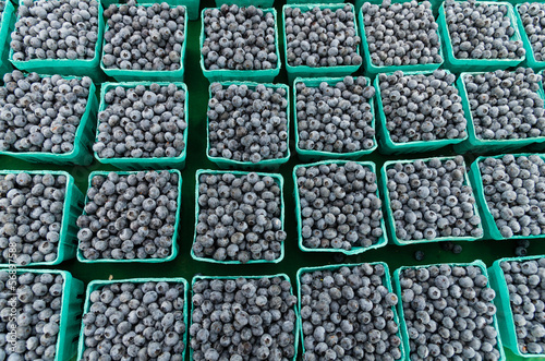 Blueberries in boxes at the market © zigzagmtart