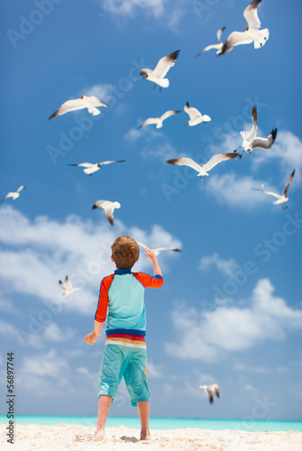 Boy and seagulls