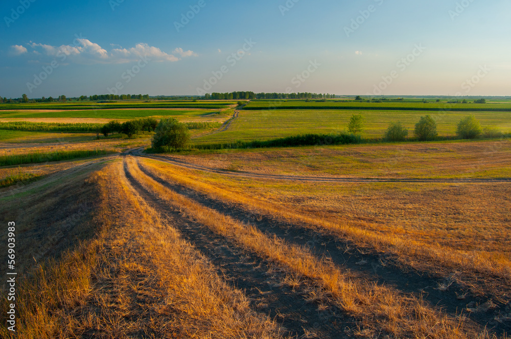 Agricultural fields and roads