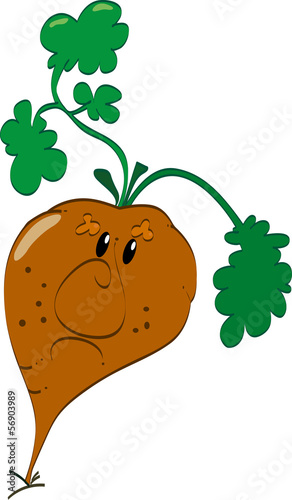 Beet