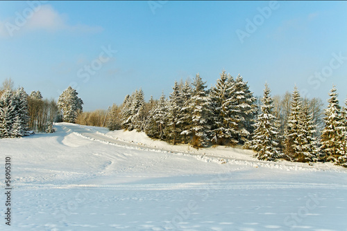 Winter landscape.