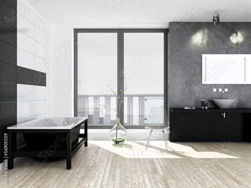 Modern black and white bathroom interior