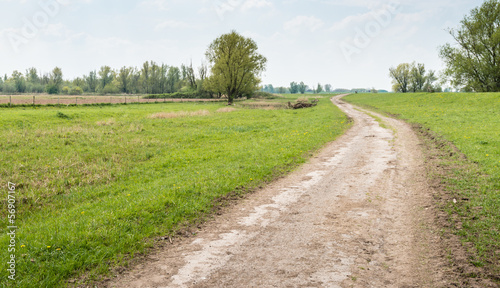 Meandering path in a picturesque rural landscape © Ruud Morijn