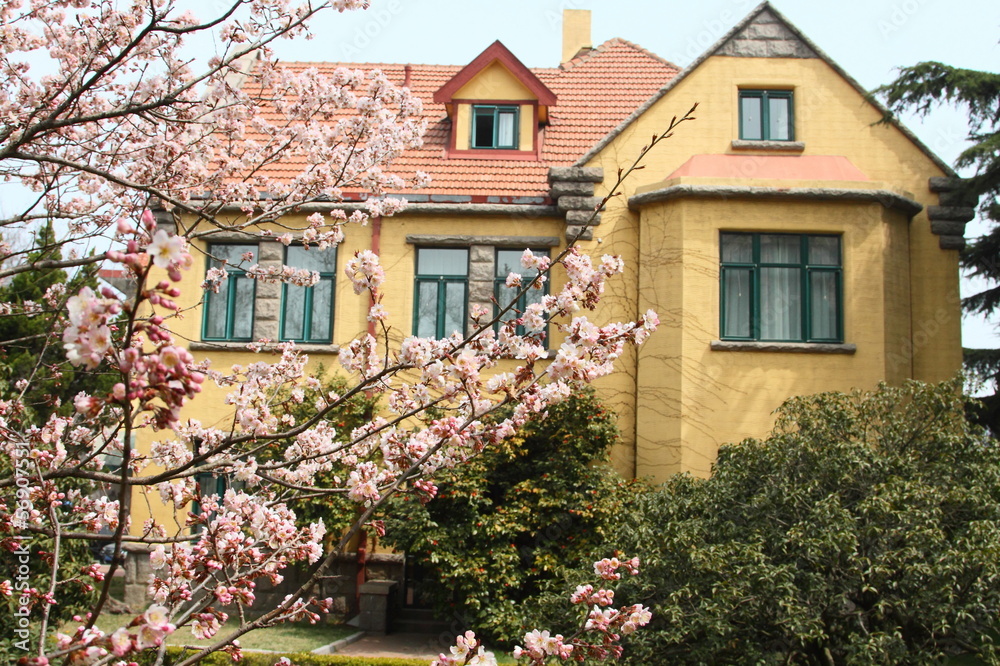 Qingdao traditional architecture in spring, China