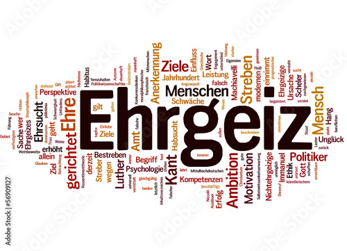 Ehrgeiz (ehrgeizig, Karriere)