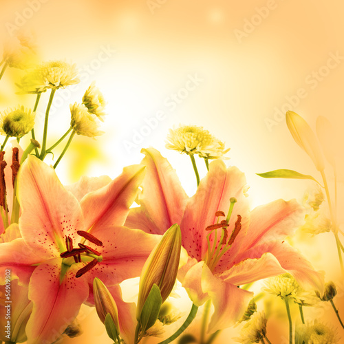 Fototapeta Naklejka Na Ścianę i Meble -  Multi-colored lilies on a dark background