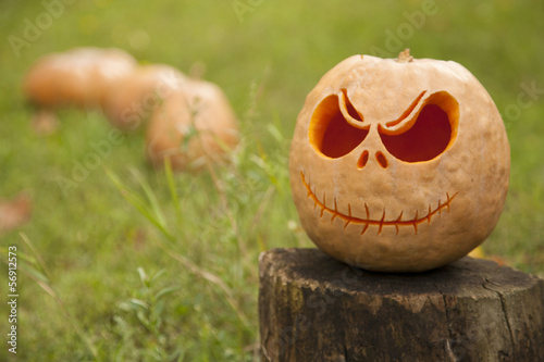 Halloween pumpkins © Eugene Shatilo