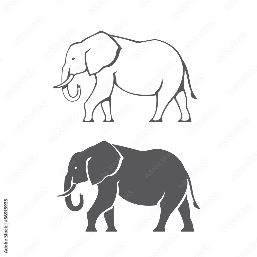 Obraz premium Elephant silhouette