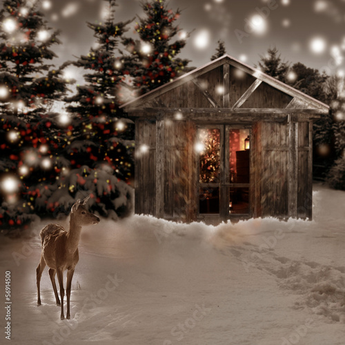 deer and Christmas scenery