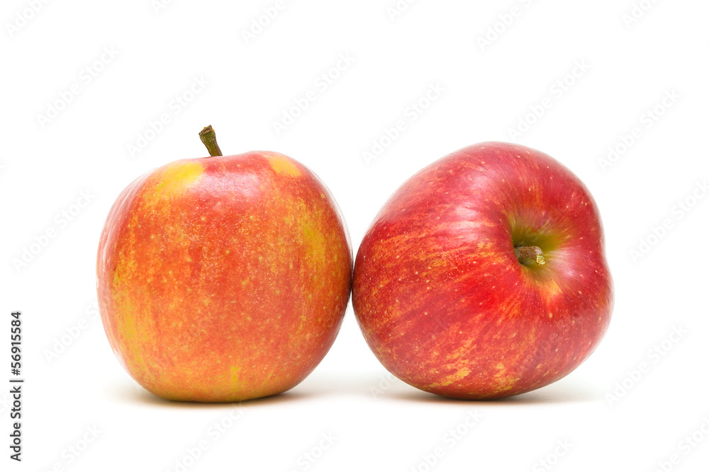 apples isolated on white background apples isolated on white background