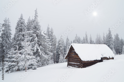 Hut in the Woods © Oleksandr Kotenko